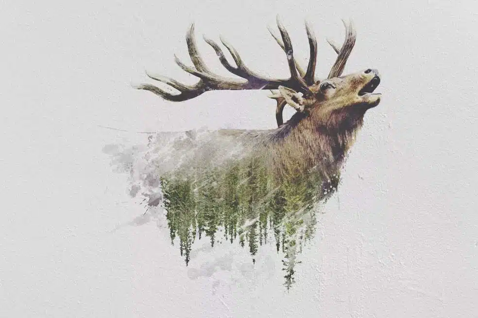 Dream Wall Printing Double Exposure Elk Wildlife Wall Print on Plaster